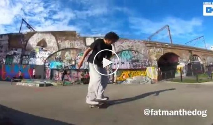 Лондонские скейтеры научили собаку снимать видео