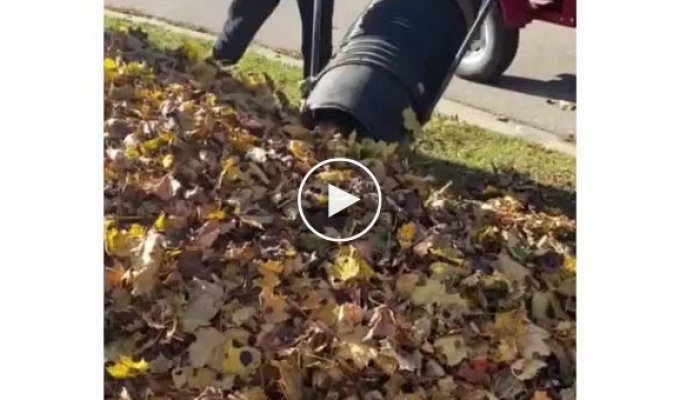 Как убирают опавшие листья в Европе