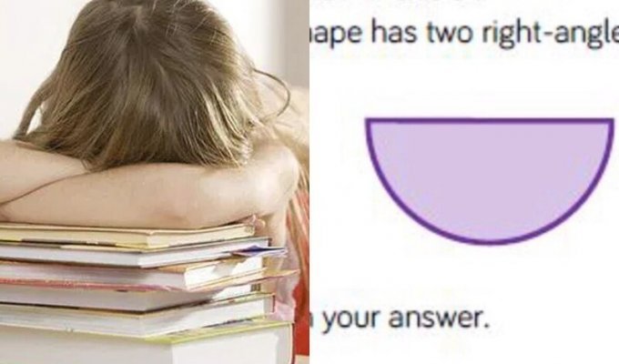 Британец поделился домашним заданием семилетней дочери, которое поставило его в тупик (3 фото)