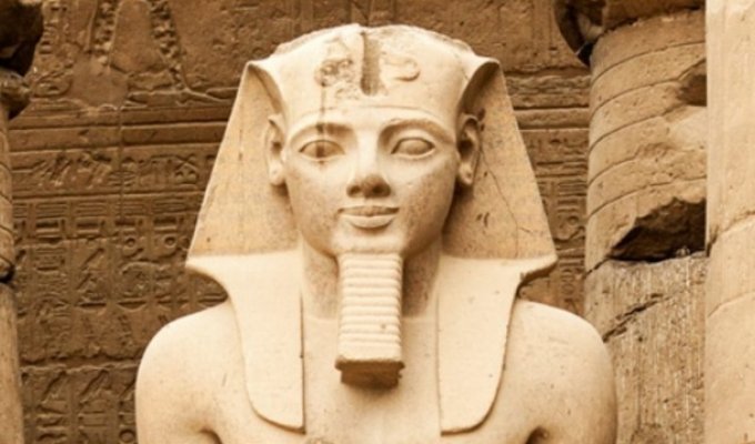 Паспорт для фараона (3 фото)