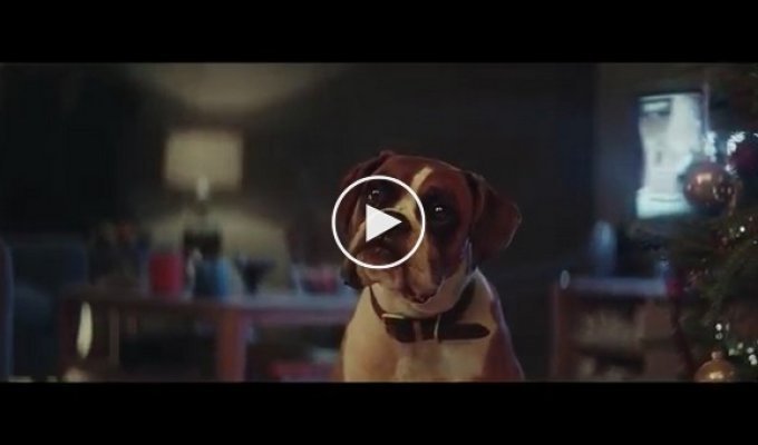 Этот рождественский рекламный ролик гарантированно вызовет улыбку на вашем лице