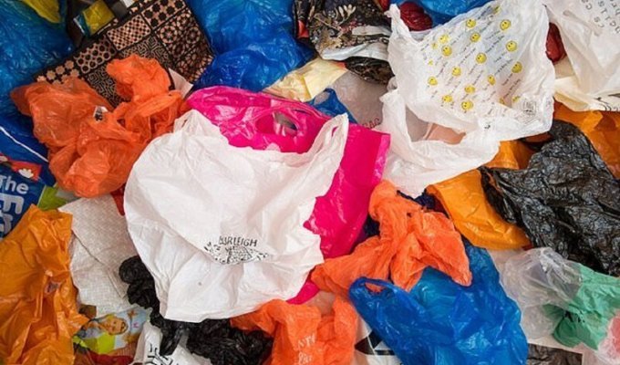 Южная Корея запретила пластиковые пакеты в супермаркетах (2 фото)