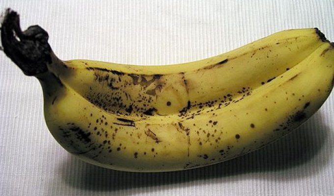  Банан-мутант (3 фотографии)