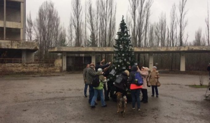 В Припяти под Новый год установили елку (4 фото)