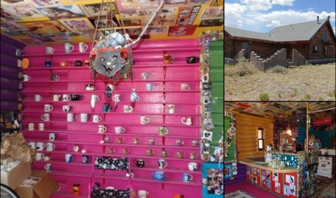 В Штате Аризона на продажу выставлен самый странный дом в мире! (23 фото)