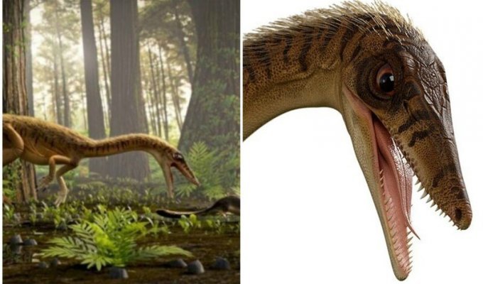 Палеонтологи нашли останки "крестного отца" тираннозавра (5 фото)