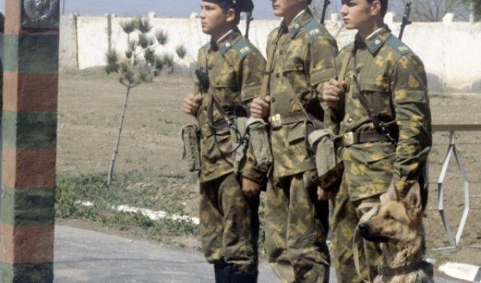 Советские пограничники (25 фото)