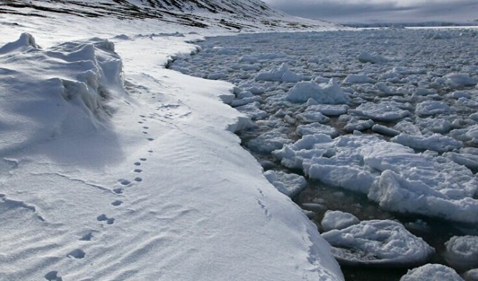 В Арктике открыли новый остров, возникший из-за глобального потепления (1 фото)
