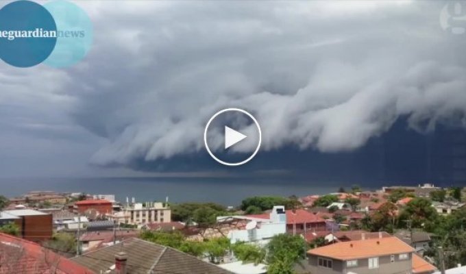 Жители Сиднея, выглянув утром из окна, увидели необычные облака