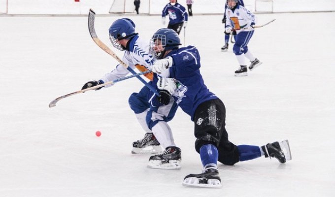 Федерация хоккея с мячом запретила российским СМИ критиковать игроков и судей