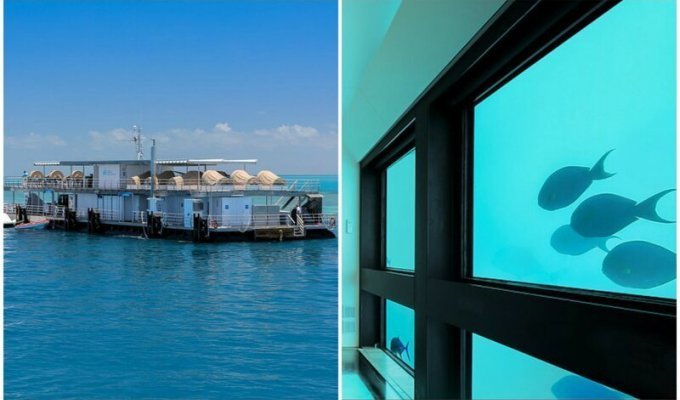 Полное погружение: в Австралии откроют первый подводный отель (5 фото)