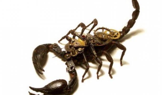 Стимпанковские жуки (15 фото)