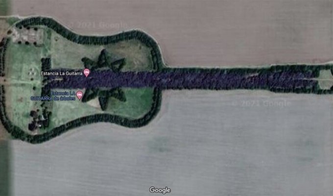 Парк-гитара вырос в память о любви (2 фото)