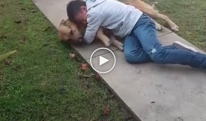 Трогательная встреча мальчика со своим псом спустя 8 месяцев после его пропажи