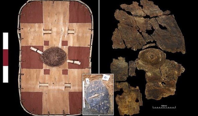 Археологи нашли древний кельтский щит (8 фото)