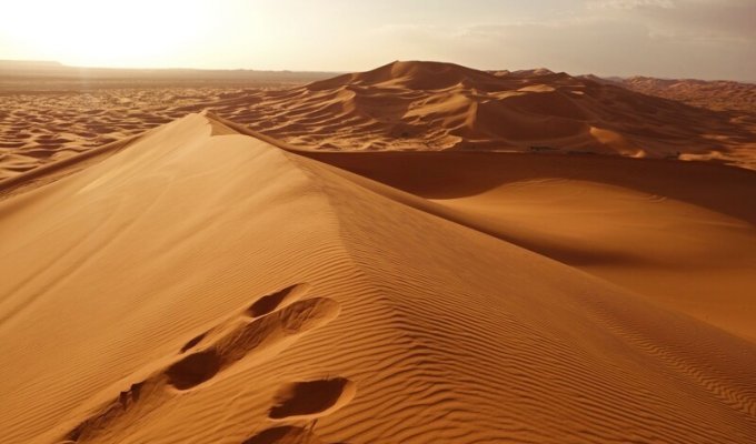 Насколько глубоки пески пустыни Сахара (1 фото)