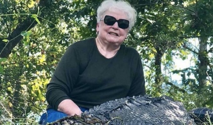Месть за пони: 73-летняя прабабушка одним выстрелом убила 3,6-метрового аллигатора (6 фото)