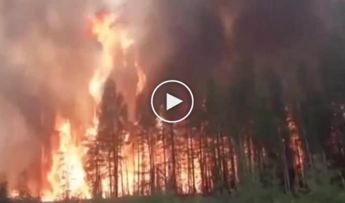 Лесной пожар в Сибири. Видео из Якутии