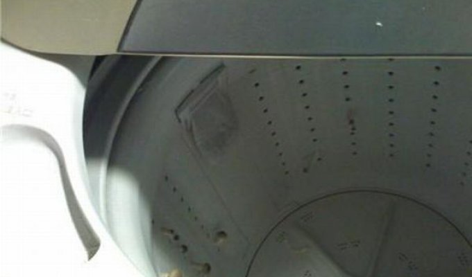 Грибочки в стиральной машине