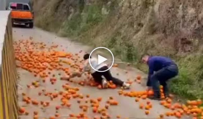 Лови апельсины!