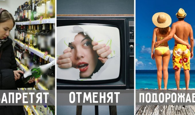 Самые резонансные законопроекты, которые могут изменить жизнь россиян (7 фото)