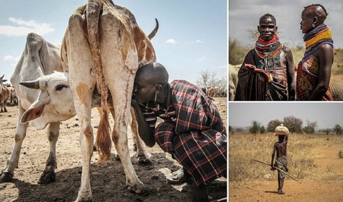 Это африканское племя погибает от засухи (29 фото)