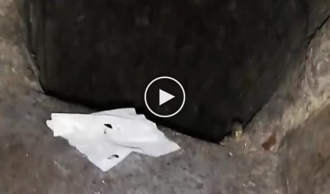 Сверхразум из Новокузнецка полез за закладкой и провалился в мусоропровод