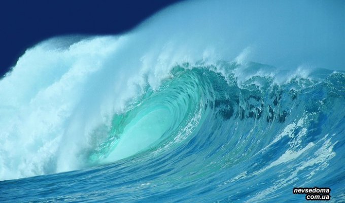 Красивейшие фотографии морских волн (40 фото)