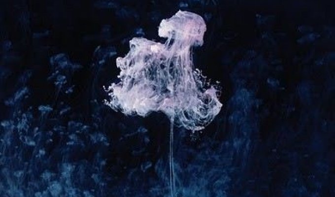 Краска под водой (9 фотографий)