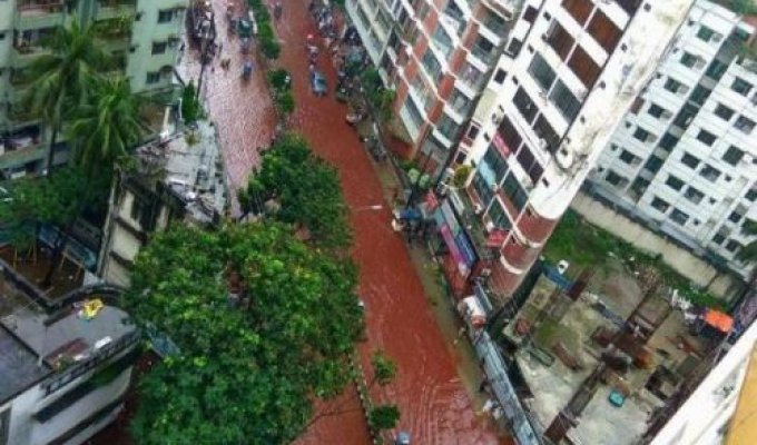 Кровавые реки на улицах Дакки во время празднования Курбан-байрама (6 фото)