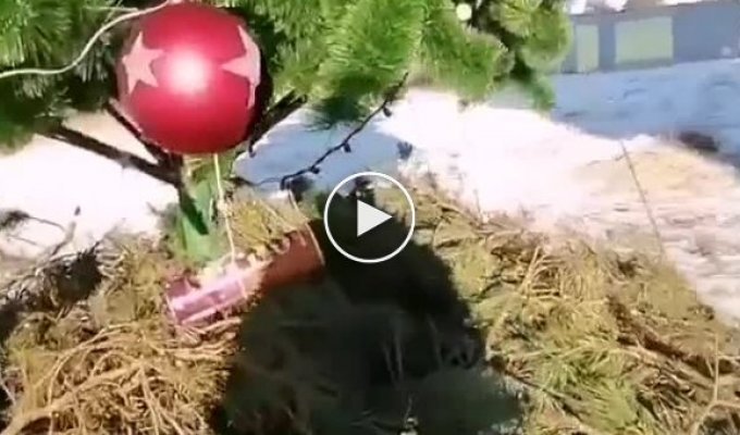 Какой год, такая ёлка в Заречном новогоднее дерево украсили мусором