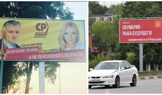 Ульяновские выборы начались с увеличения пениса и скумбрии (5 фото)