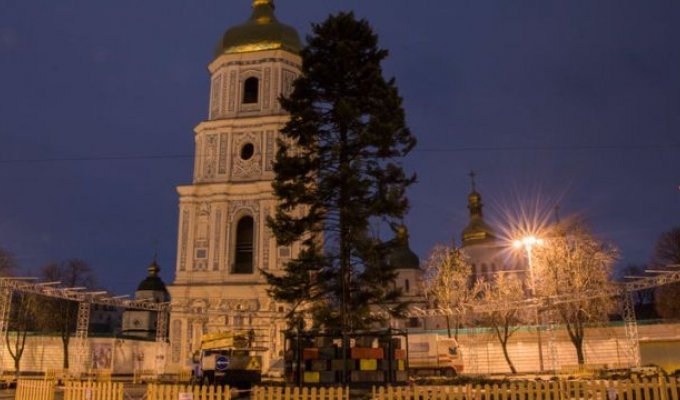 Главная новогодняя елка Украины разочаровала граждан (5 фото)