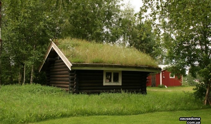 Дома с газонами на крыше (25 фото)