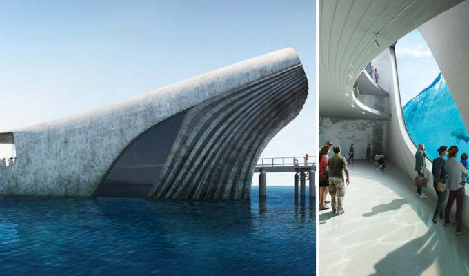 В Австралии построят необычную морскую обсерваторию в форме кита (7 фото)