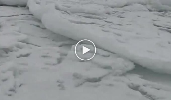 Море скрипящее льдом