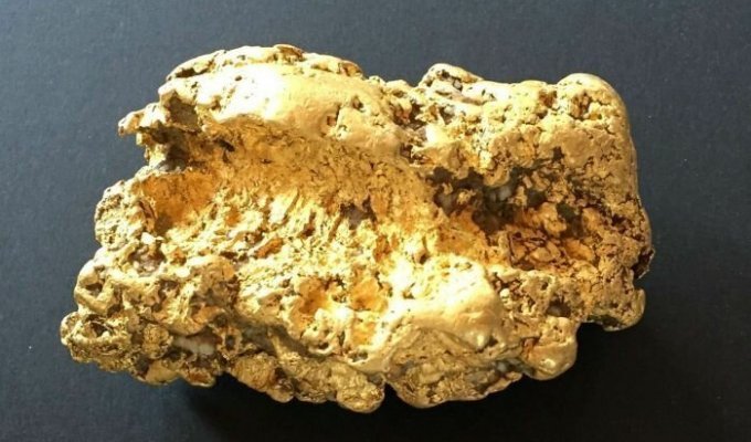 Денег хватит до конца жизни: австралийский пенсионер нашел на пастбище золотой самородок весом 2 кг (6 фото)