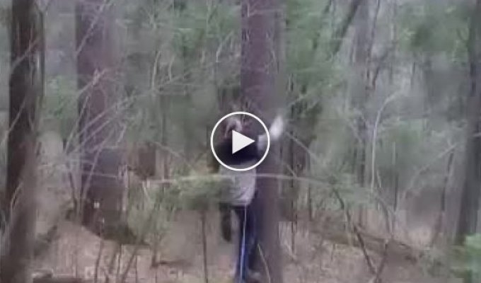 Как правильно залезть на дерево