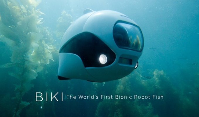 Встречайте: роботизированная рыбка-фотограф BIKI (8 фото + 2 видео)