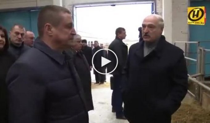 Александр Лукашенко снял с должности губернатора Владимира Доманевского после посещения агрохолдинга