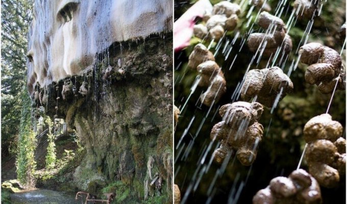 Загадочный водопад, который "превращает всё вокруг в камень" (10 фото)