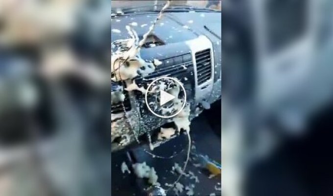 Монтажная пена взорвалась в салоне машины от жары