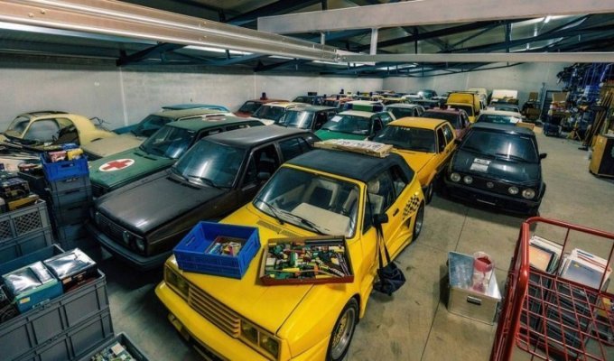 Самая большая частная коллекция Volkswagen Golf в мире (15 фото)