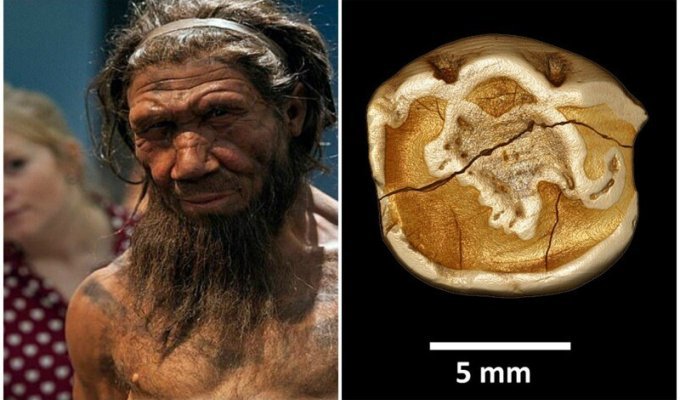 Ученые выяснили, что общего у детей неандертальцев и современных младенцев (7 фото)