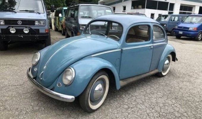 Ценный Volkswagen Beetle 1952 года с раздельным задним окном (5 фото)