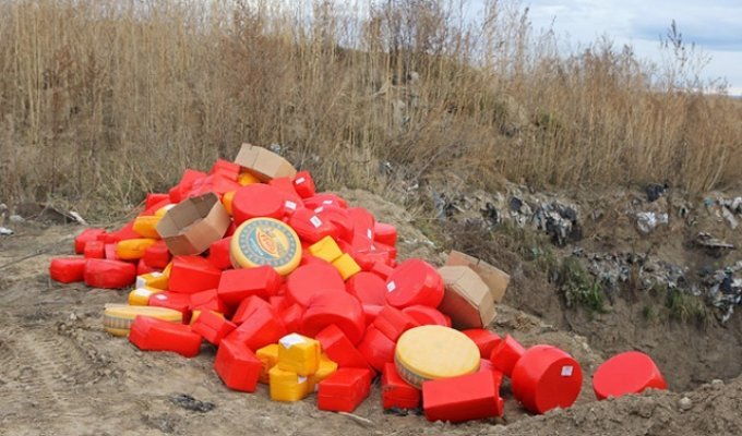 В Красноярске уничтожили 1,5 тонны голландского сыра (2 фото + видео)