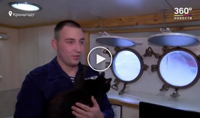 Кошка Собака - талисман и любимец экипажа российского корабля