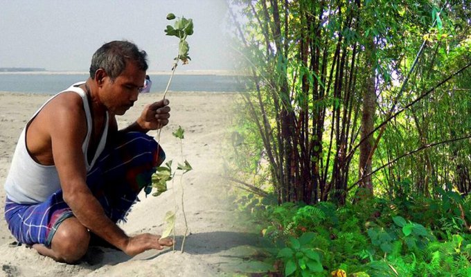 Удивительный человек Джадав Пайенг, который в одиночку вырастил огромный лес (8 фото)