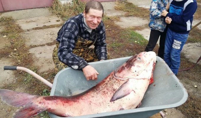 Настоящую царь-рыбу выудил из Оки житель Полян Алексей Макаров (4 фото)