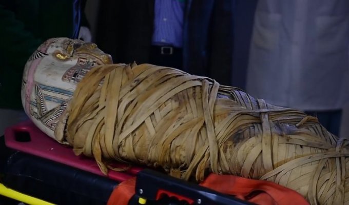 Врачи диагностировали у мумии рак — через 2 тысячи лет после смерти (4 фото + 1 видео)